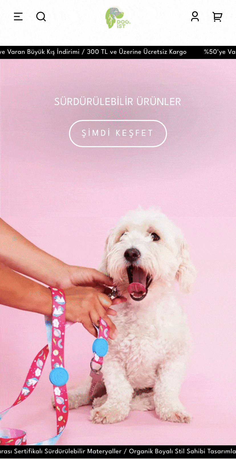 dogist-min